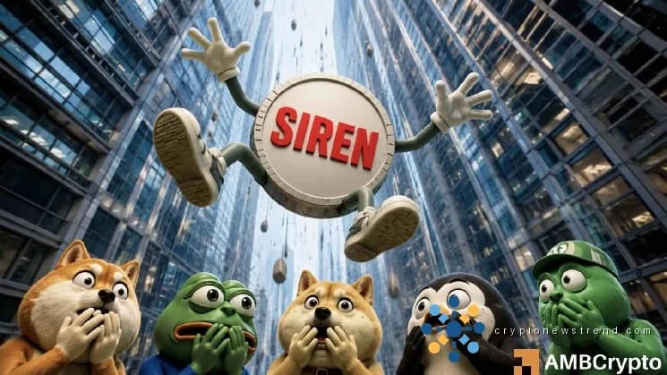 Here’s why SIREN is likely to fall again after its latest 56% price crash
