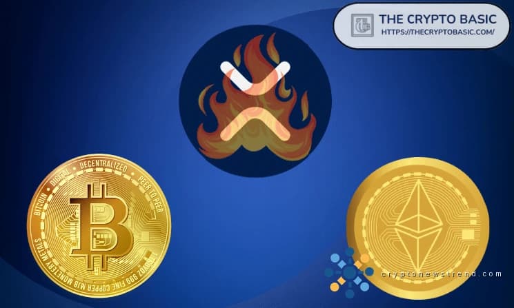 Study Identifies Cycle Bottoms for BTC, ETH, XRP