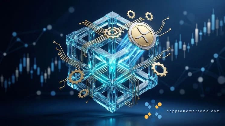随着 XRP 创新加速，David Schwartz 推出新的集线器升级