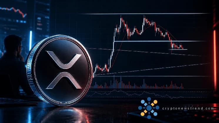 Питер Брандт предупреждает быков по XRP новым графиком поддержки