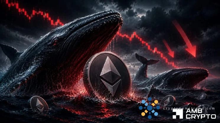 كسر Ethereum الدعم الرئيسي، ويقول البيع بالتجزئة "اشترِ عند الانخفاض" - لكن الحيتان تقول ...