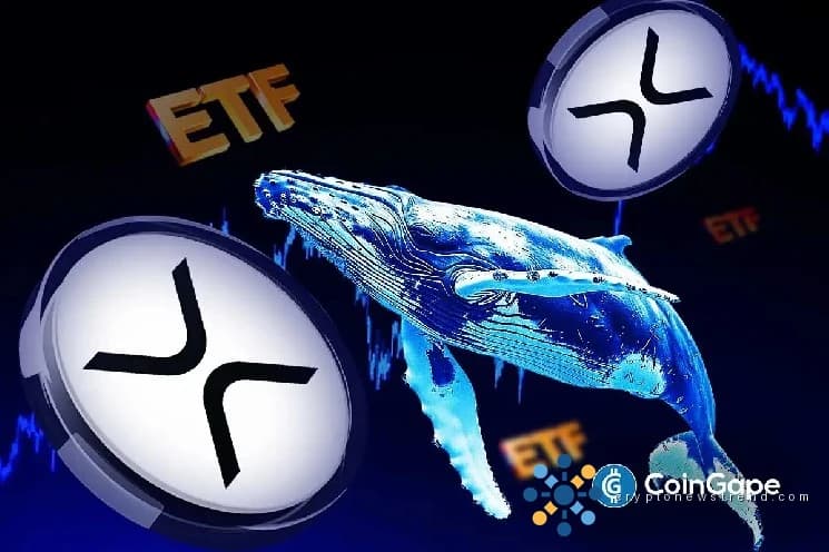 يتزامن الارتفاع الكبير في مقتنيات XRP بين كبار المستثمرين مع زيادة ملحوظة في نشاط صناديق الاستثمار.