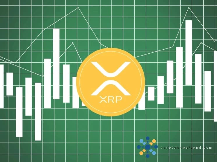 هل يواجه XRP خطر خسارة عتبة 500 مليون نهائيًا؟ نشاط الشبكة غير قادر على الاسترداد