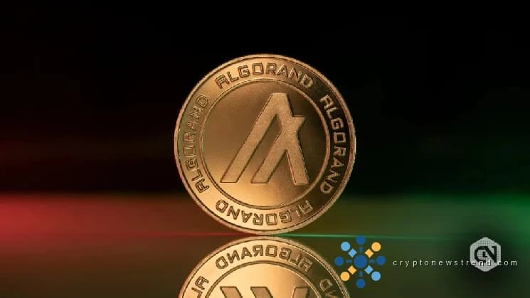 El precio de Algorand apunta a 0,20 dólares en medio de ganancias semanales del 50% en un repunte alcista
