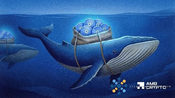 Investors are flocking to Cardano in droves, but can this surge in high-volume investors single-handedly bridge the gap between supply and demand.