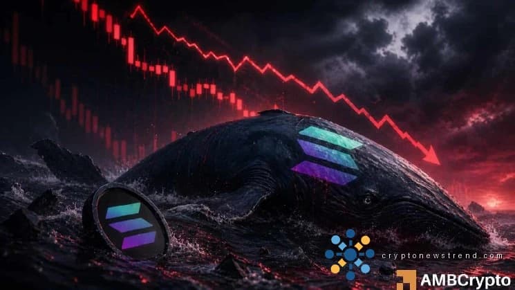 Solana-Wal steigt mit einem Verlust von 17,6 Millionen US-Dollar aus – Wie geht es mit SOL weiter?