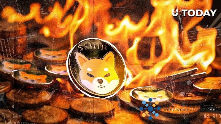 1 305 818 SHIB attendent d’être brûlés alors que la communauté anticipe le prochain mouvement