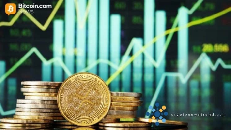 Canary XRP ETF Reports 213 Million XRP Holdings Worth $305 Million