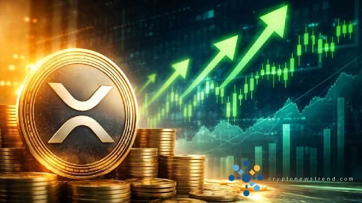 投资者纷纷涌回 XRP，推动交易所交易基金创纪录的注资