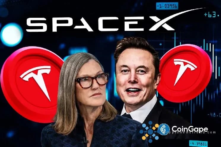 Кэти Вуд вкладывает 38 миллионов долларов в Tesla после роста SpaceX