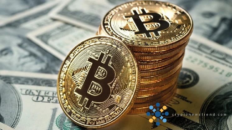 حصلت شركة تجميع البيتكوين Capital B ومقرها أوروبا على تمويل جديد لشراء المزيد من البيتكوين! وهنا التفاصيل