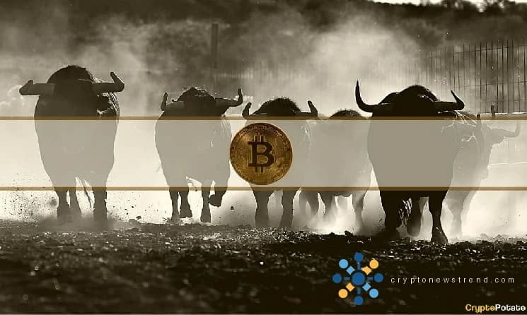 BTC podría alcanzar nuevos máximos de verano en unas semanas si se mantienen $ 73,000: analista