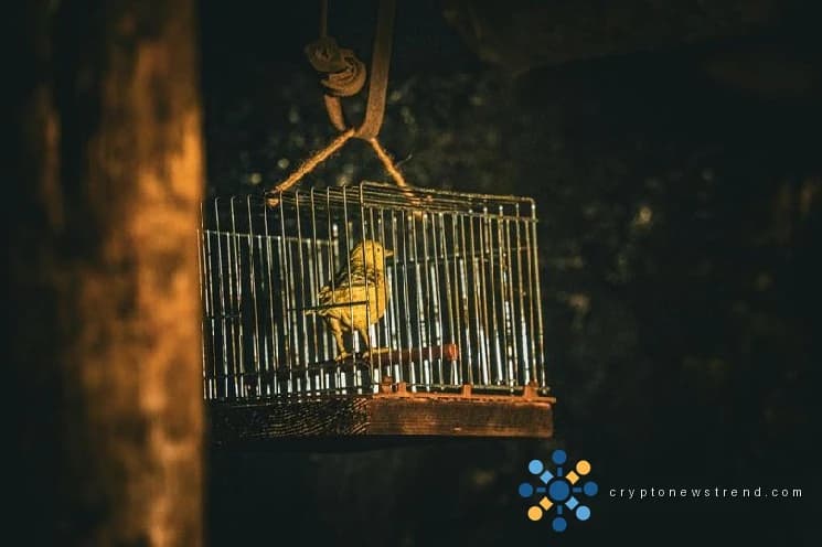 加密货币专家提出了一种被动策略，预计假设的量子黑客威胁将出现可预测的行为。