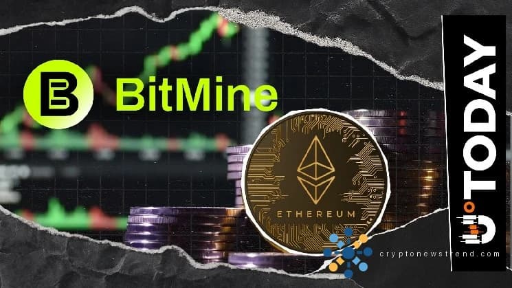 Bitmine возглавила рейтинг стейкинговых холдингов с 167 578 Ethereum