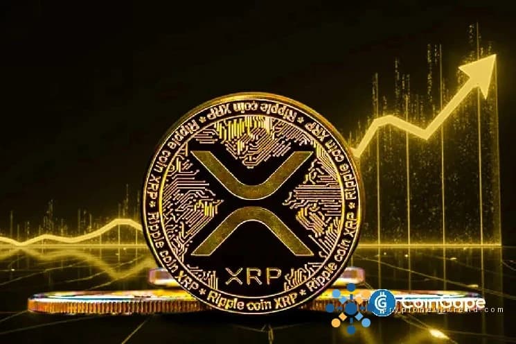 Un analyste révèle des pics XRP FUD, un rallye imminent ou un crash à venir ?
