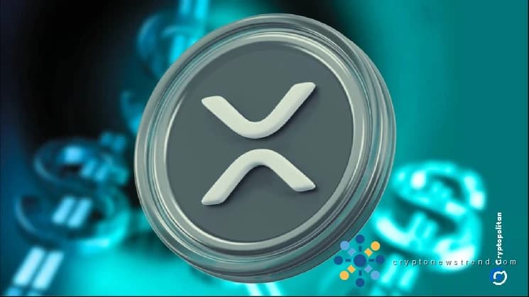 محافظ XRP Ledger التي تحتوي على أكثر من 10000 XRP تصل إلى مستوى قياسي