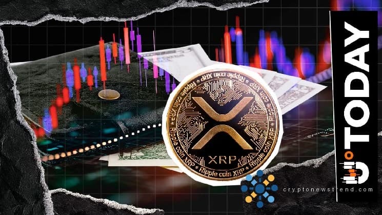 41 % durchschnittliche Verluste erleiden XRP-Wallets: Chance oder Warnung?