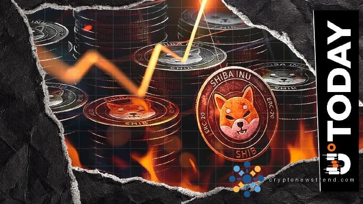 Shiba Inu 销毁交易量突破 20,000 笔，销毁供应量 41.08%