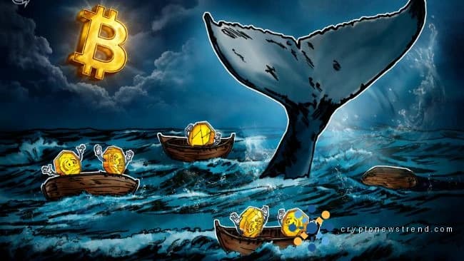 Rich Bitcoin traders lost $337M daily in first quarter of 2026