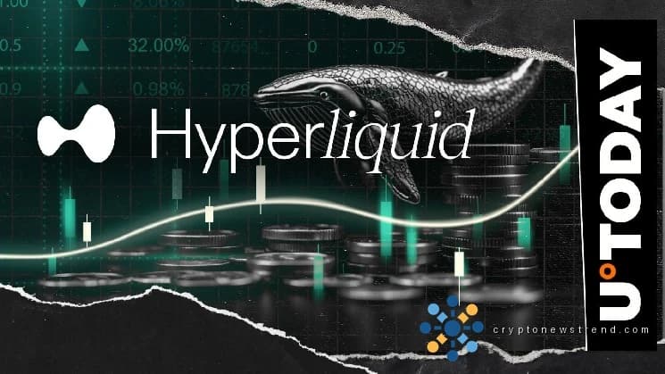 El hiperlíquido (HYPE) no ha terminado: se detecta un aumento en la actividad de las ballenas
