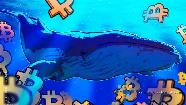 بٹ کوائن کی نگاہیں $90K ہیں کیونکہ وہیل 30 دنوں میں 20 گنا روزانہ BTC سپلائی جذب کرتی ہے