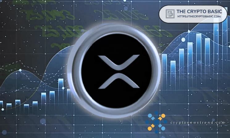 Криптовалютные предприниматели предупреждают держателей XRP: немедленно получите прибыль или рискуете вечными потерями