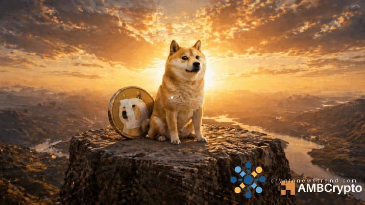 Dogecoin: کیا $800 mln کا لین دین DOGE کی قیمت کو بڑھا سکتا ہے؟