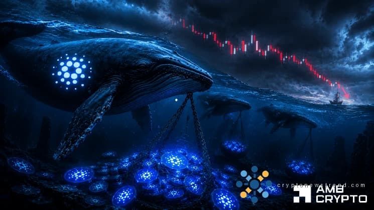 Кардано мигает сигналом кита в стиле 2020 года, но ADA снижается. Почему?