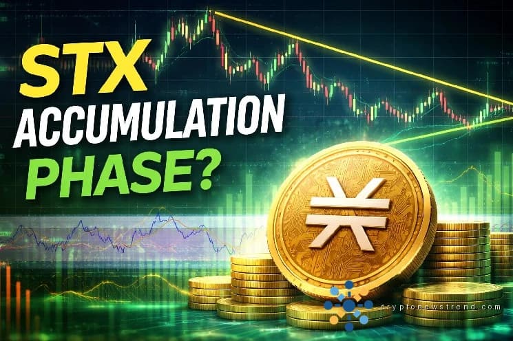 区块链代币 STX 克服低迷，在投资者购买活动中保持稳定