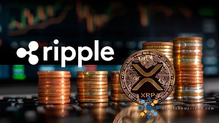 يتجه Ripple VP إلى حدث كبير حيث يكتسب دفتر الأستاذ XRP زخمًا