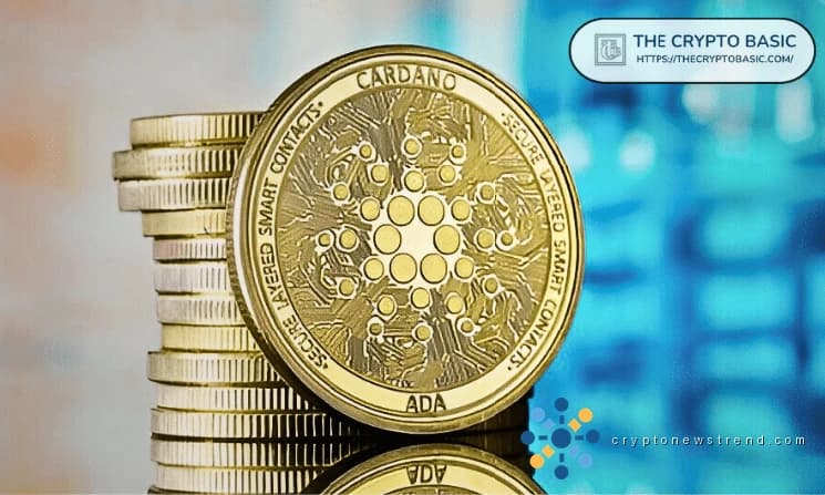 NMKR CEO Urges Cardano to Seize This Rare Marketing Opportunity