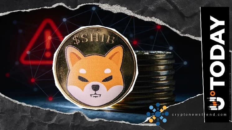 随着主要开发商的战略代币分配决策，SHIB 的长期前景逐渐成形