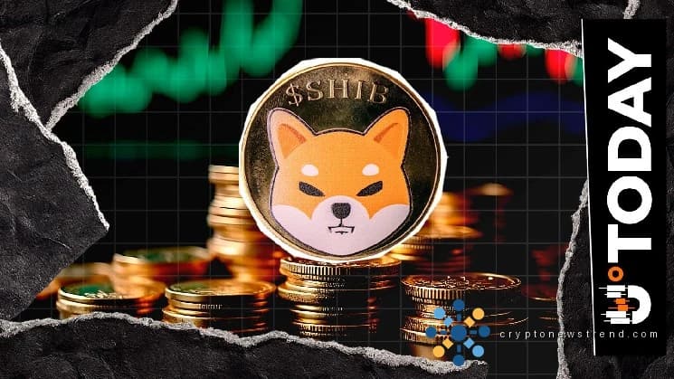 Shiba Inu registra un aumento del 16 % en direcciones activas a medida que aumenta el impulso