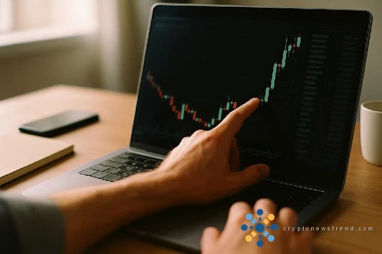 تكتسب عودة ADA قوة جذب حيث يقوم كبار المستثمرين بتوحيد ممتلكاتهم وسط تضاؤل ​​التداول في السوق.