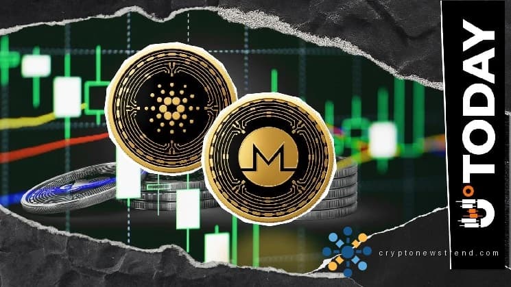 Kryptowährungs-Showdown: Cardano und Monero liefern sich einen erbitterten Kampf um die Vorherrschaft auf dem Markt