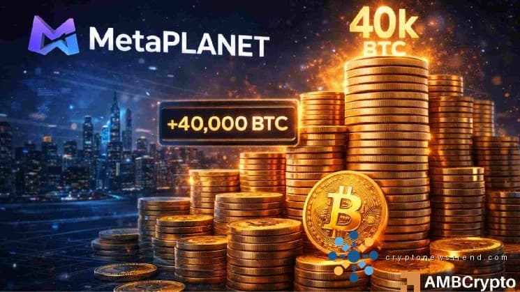 Die globalen Bitcoin-Reserven erleben eine große Veränderung, da aufstrebende Spieler einen Vorrat von mehr als 100.000 Münzen anstreben