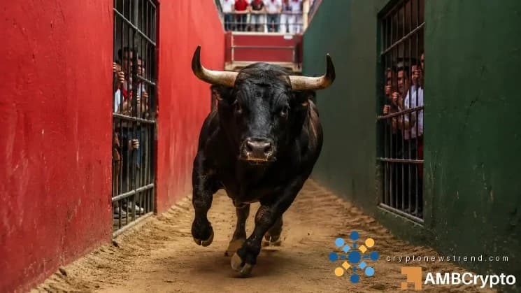 L’optimisme du marché alimente la flambée des prix des cryptomonnaies, mais manque de substance pour soutenir la croissance à long terme
