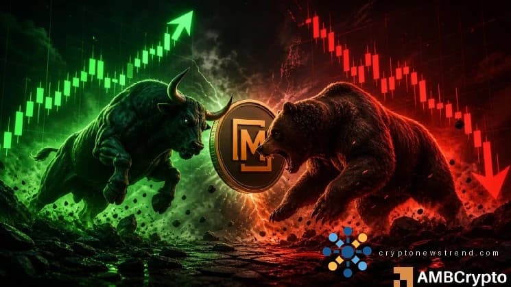 Kann M nach der 25-Prozent-Umkehr von Memecore 4 US-Dollar zurückfordern? Untersuchen…