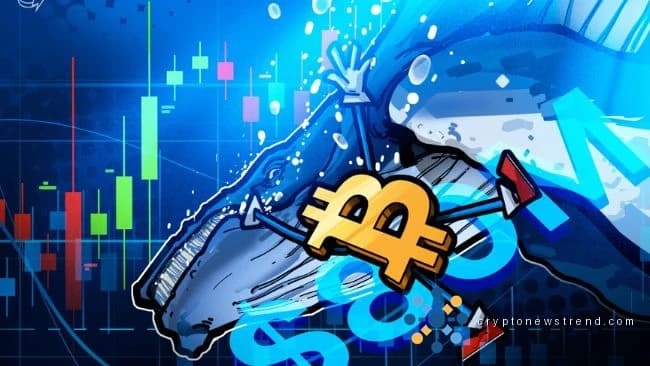 Un gran inversor en criptomonedas coloca una enorme posición corta de 80 millones de dólares, lo que genera temores de una inminente desaceleración de Bitcoin.