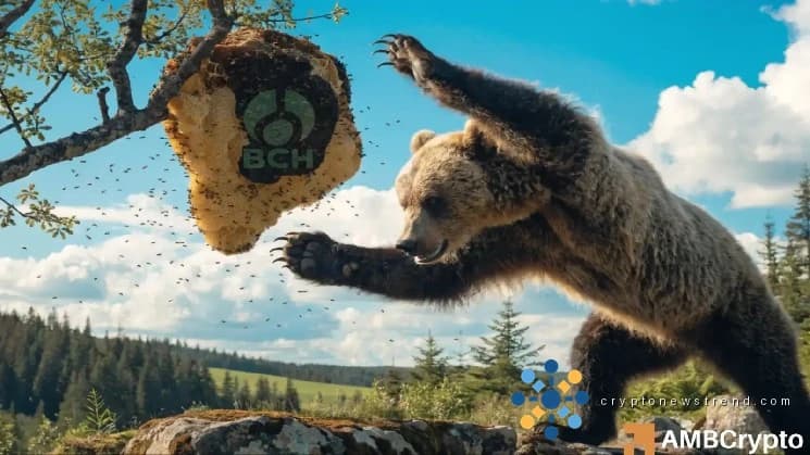 BCH کی 25% قیمت کے خون بہہ جانے کے بعد بٹ کوائن کیش کے تاجر ریلیف ریلی کی توقع کیوں کر سکتے ہیں