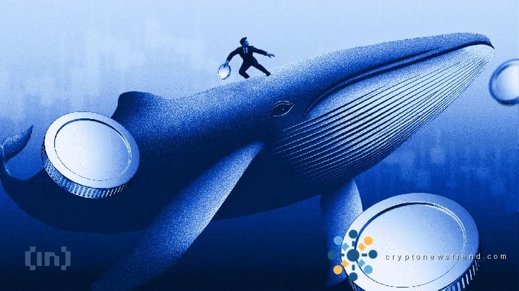Was Kryptowale im April 2026 für potenzielle Gewinne kaufen