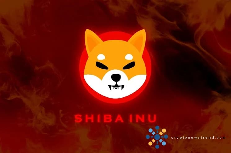 1,95 Millionen US-Dollar SHIB-Erwachen: Ruhender Shiba Inu-Wal bricht 10-monatiges Schweigen
