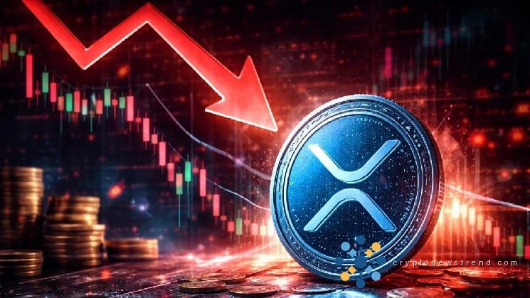 XRP خوف کی چوٹی 2 سال کی اونچائی پر ہے — اسمارٹ منی ریورسل کے لیے دیکھ رہی ہے۔