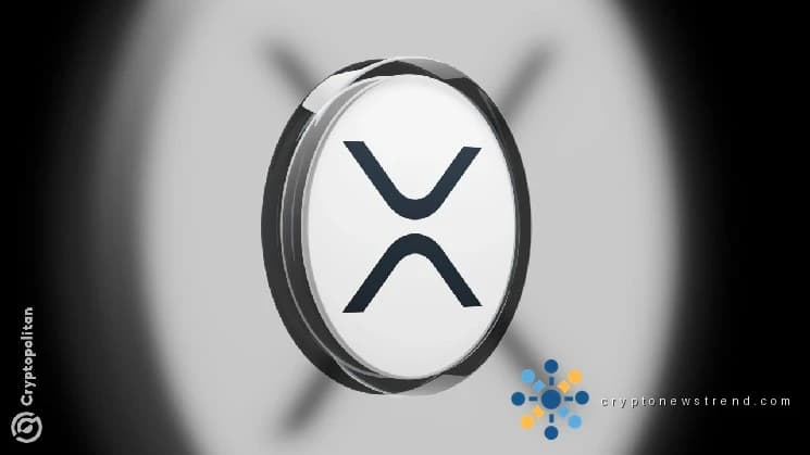 XRP 成为抗量子强国，而鲸鱼则继续疯狂购买
