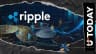 CryptoNewsTrend Editorial Team
