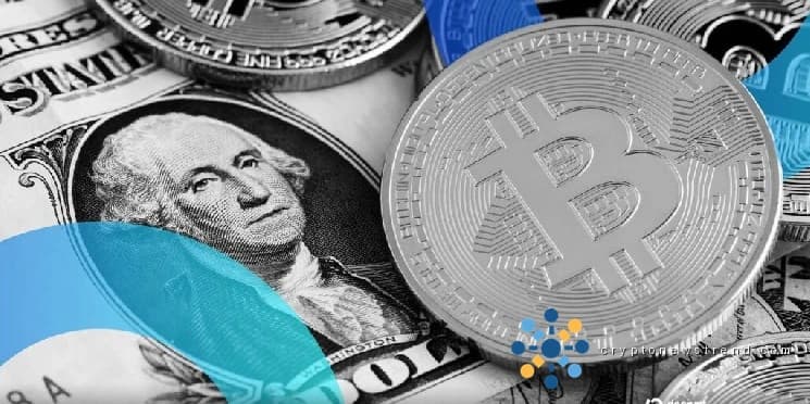La maturité s'installe : les investisseurs traditionnels se diversifient à mesure que la crypto-monnaie perd son attrait rebelle