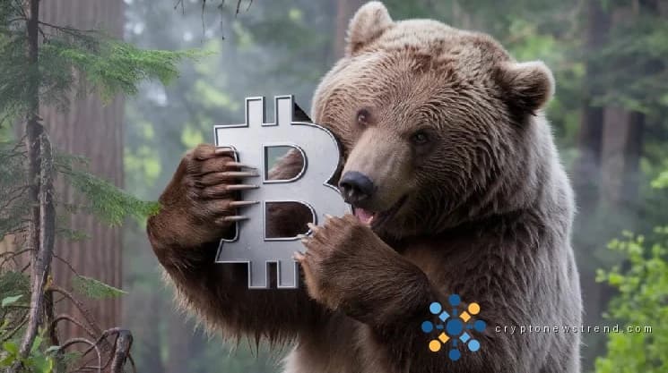 Der Kryptowährungsmarkt sieht einen Hoffnungsschimmer: Top-Prognostiker enthüllt die Zahlen, die die zukünftige Entwicklung von Bitcoin enthüllen