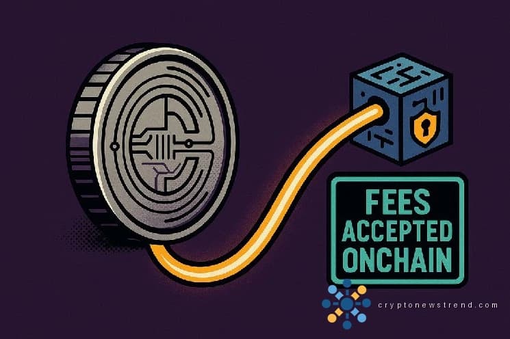 План блокчейна цифрового доллара Бермудских островов переходит от испытания USDC к правительственным сборам