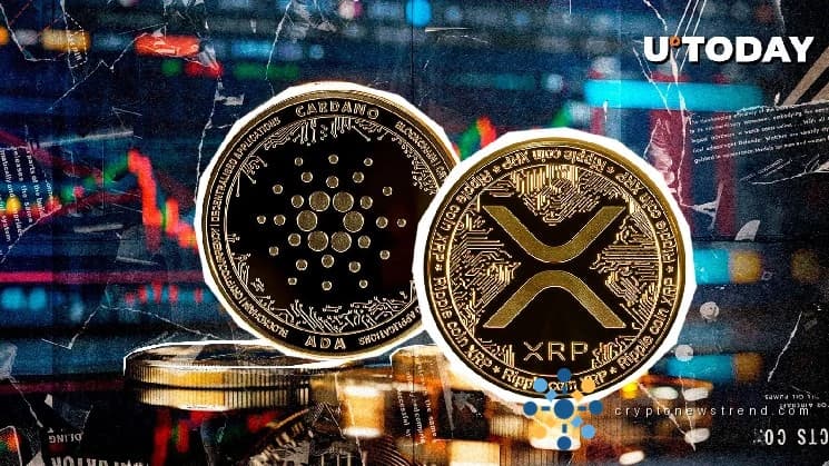 XRP وADA يحصلان على دعم من CME