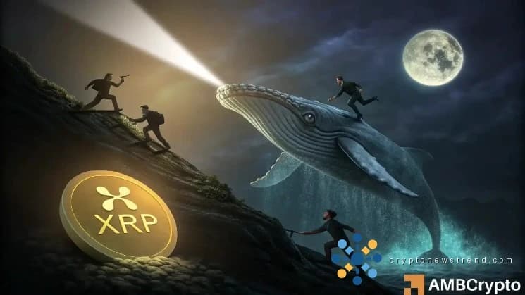 Die Zukunft von XRP hängt in der Schwebe, da eine massive Abwanderung von Investoren mit steigenden Marktwetten kollidiert.